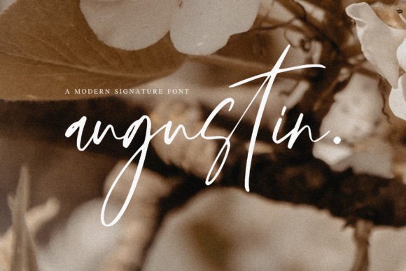A Practical Review of the Augustin Script Typeface