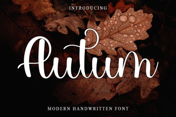 Autum Font: A Web Designer's Review of Timeless Elegance