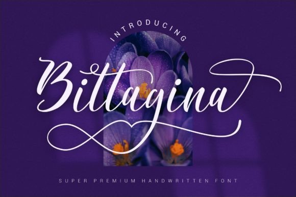 Bittagina: A Refined Script Font for Elegant Web Design