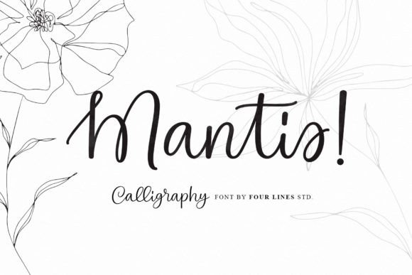 Mantis: A Modern Calligraphy Font for Your Creative Projects
