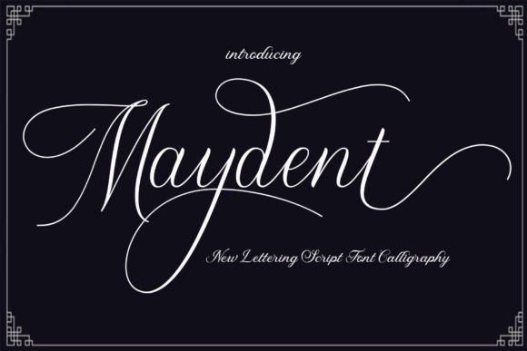 Maydent: A Typeface That Elevates Your Brand's Elegance
