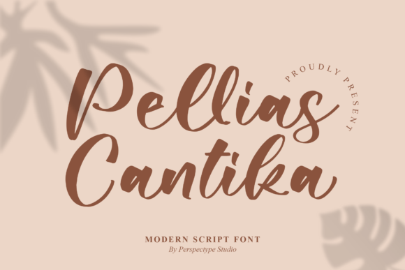 Pellias Cantika: A Modern Elegance for Your Digital Brand