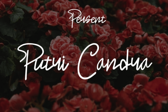 Putri Candra: A Modern Script Font for Clear Campaign Messages