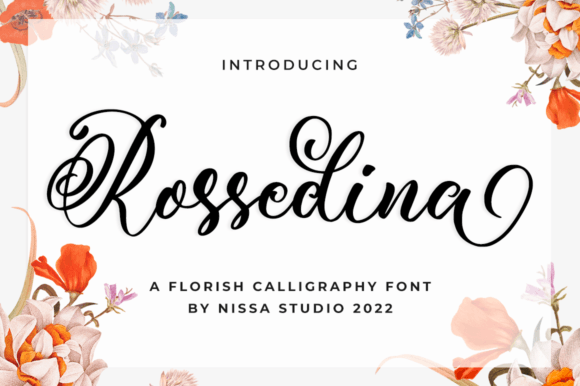 Rossedina: A Font Designed for Quiet Editorial Moments
